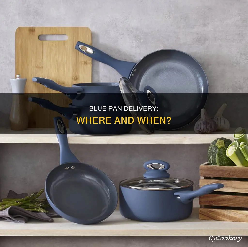does blue pan delivery