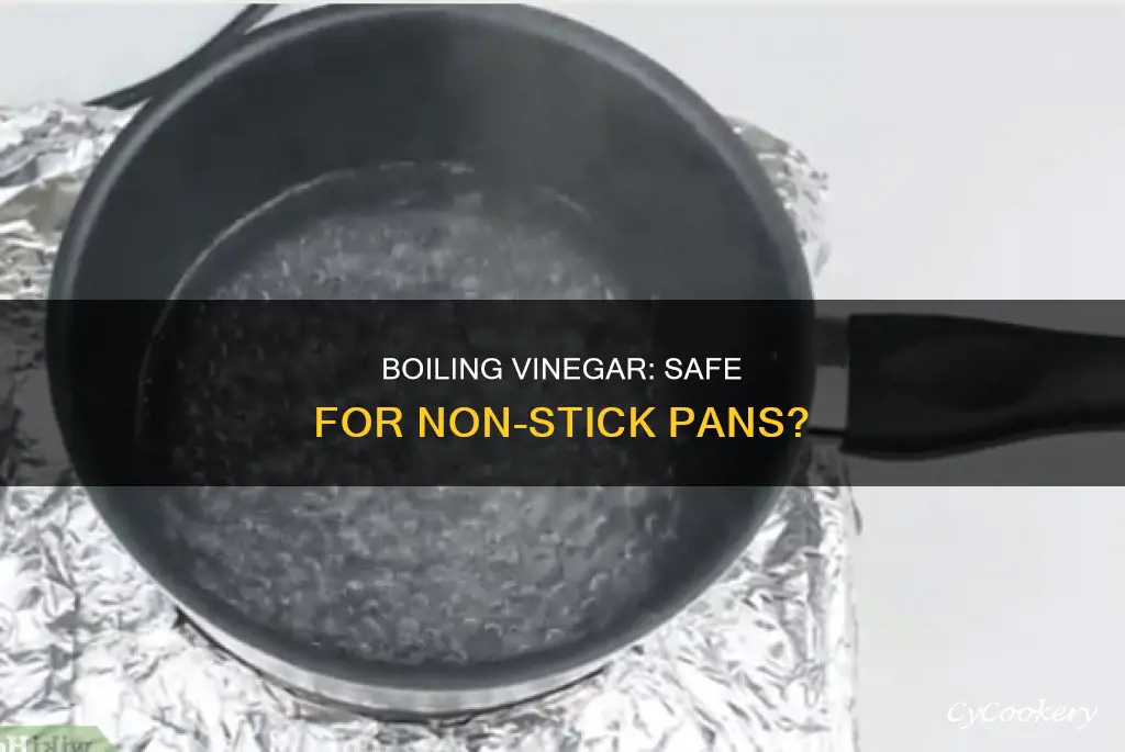 does boiling vinegar hurt a non stick pan