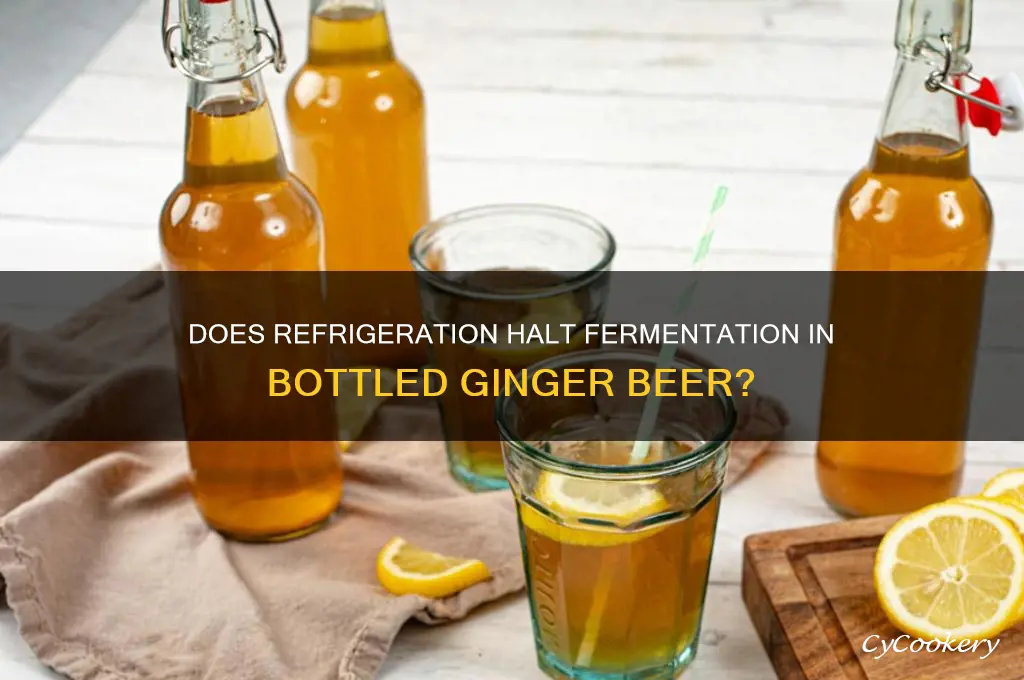 does bottles ginger beer stop fermenting when refrigerated