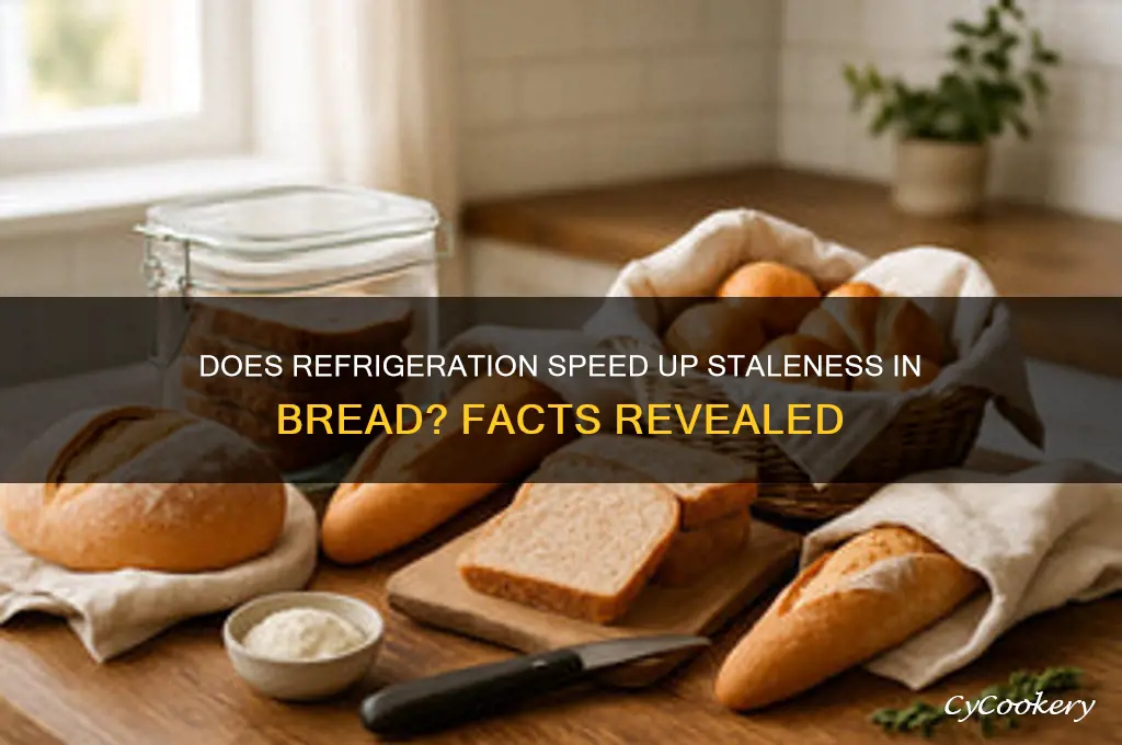 does bread get stale faster in the refrigerator