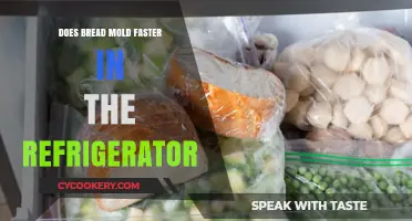 Does Bread Mold Faster in the Fridge? Uncovering the Truth