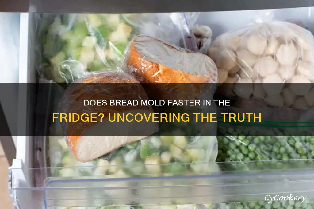 does bread mold faster in the refrigerator