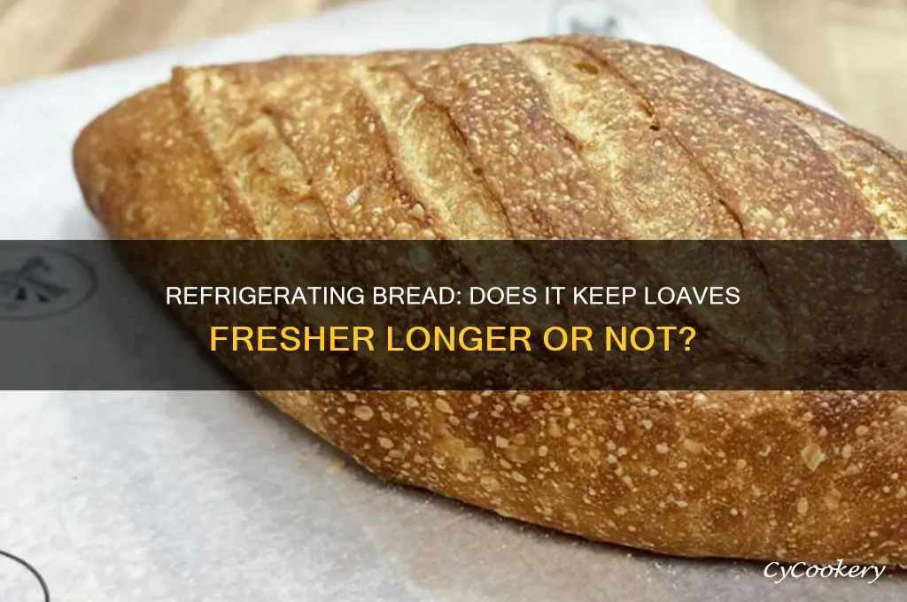 does bread stay fresher in the refrigerator