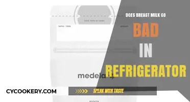 Does Breast Milk Spoil in the Fridge? Storage Tips Revealed