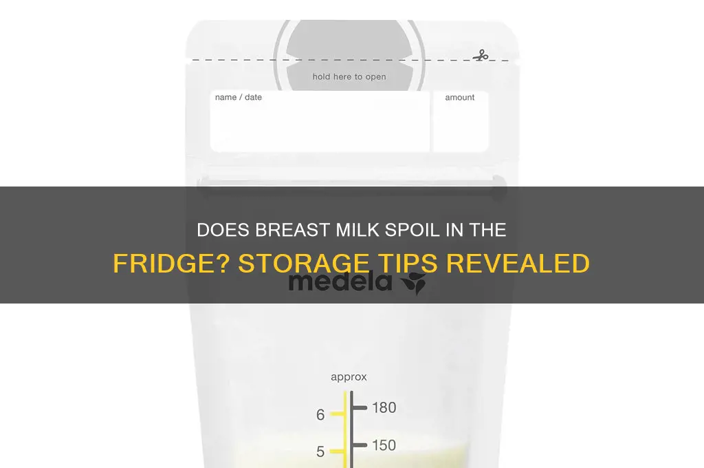 does breast milk go bad in refrigerator