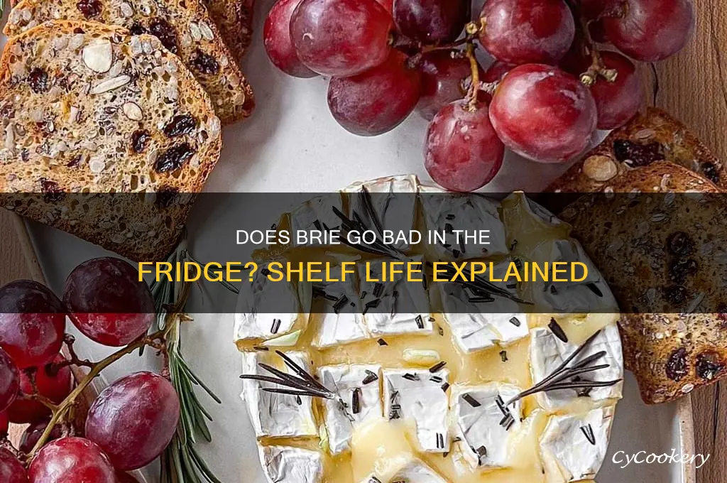 does brie go bad in the refrigerator