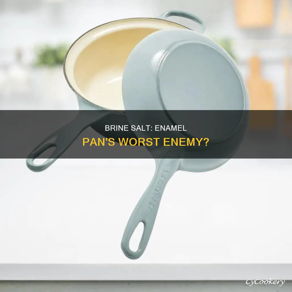 does brine salt hurt an enamel pan