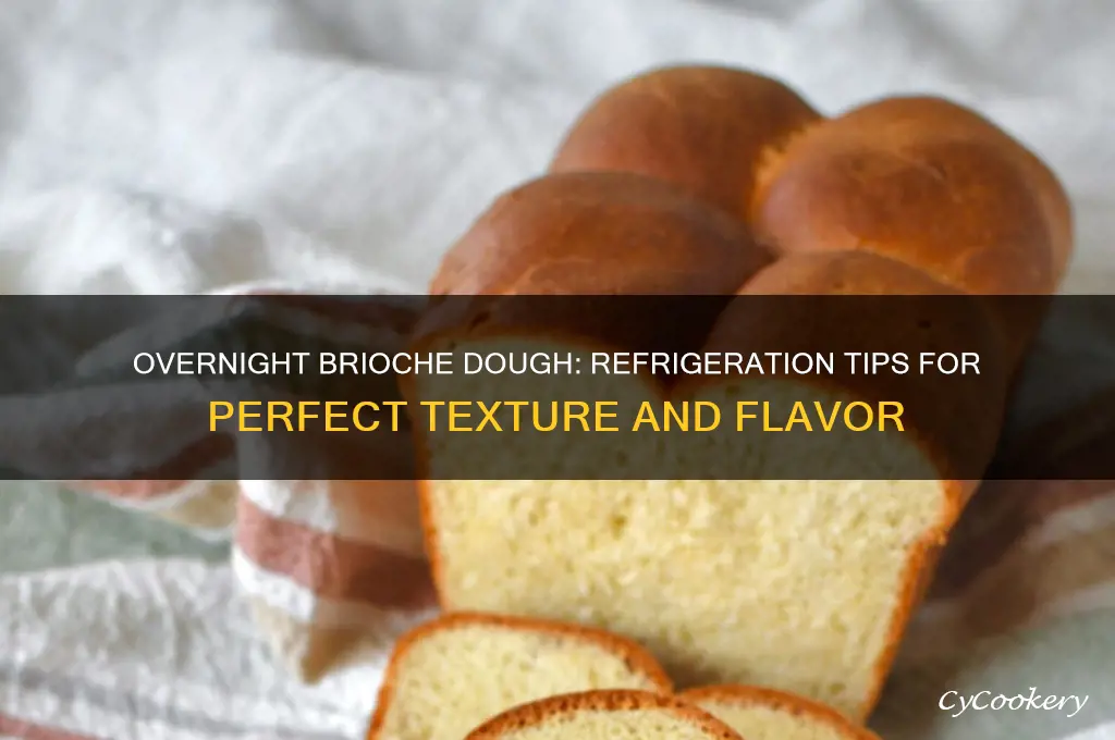 does brioche dough go in the refrigerator overnight