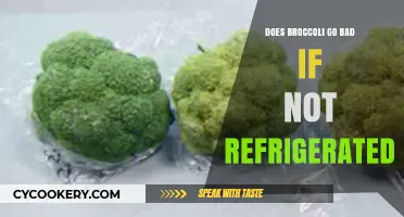 Does Broccoli Spoil Without Refrigeration? Storage Tips and Shelf Life