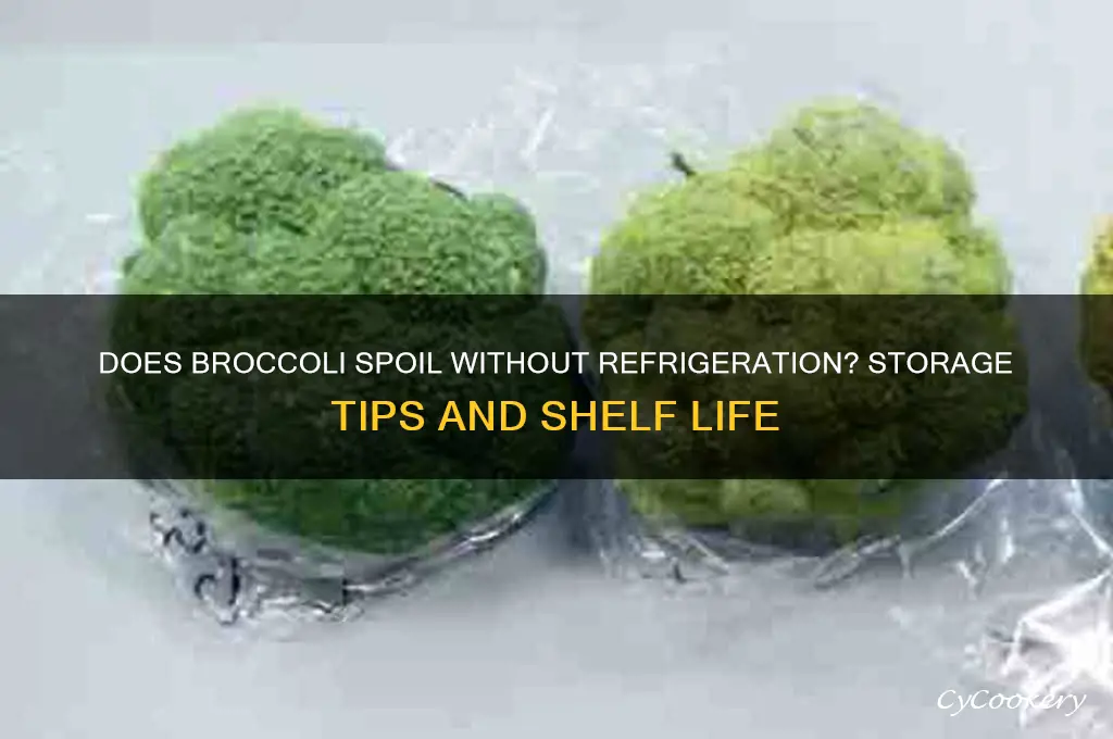 does broccoli go bad if not refrigerated
