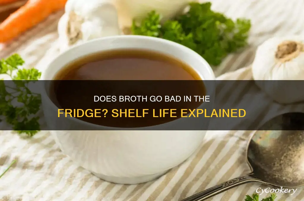 does broth go bad in the refrigerator