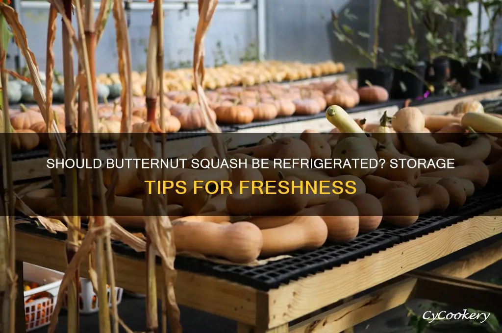 does butternut squash have to be refrigerated