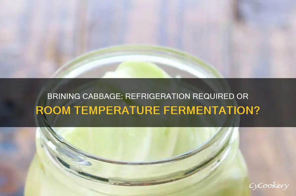 does cabbage have to be in refrigerator to brine