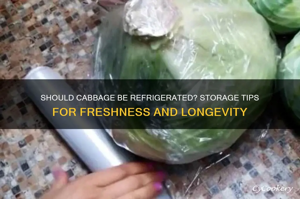 does cabbage have to be in the refrigerator