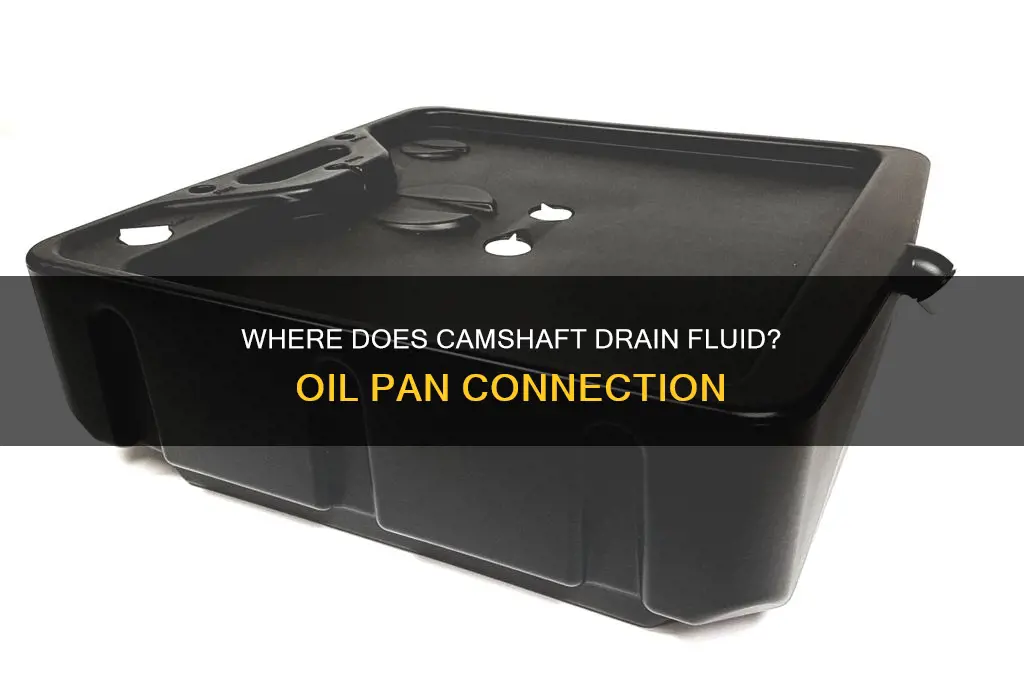 does camshat drain into oil pan