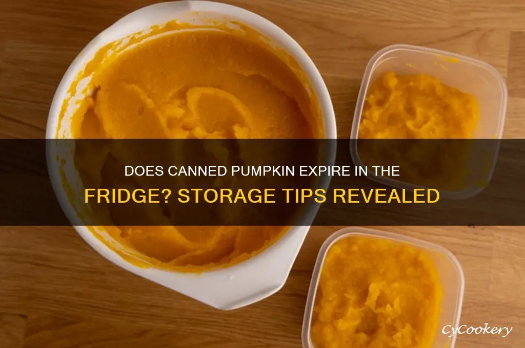 does canned pumpkin go bad in refrigerator