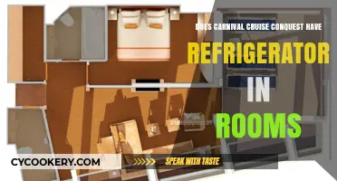 Carnival Cruise Conquest: In-Room Refrigerators Availability Explained