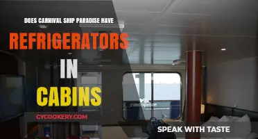 Carnival Paradise Cabin Amenities: Are Refrigerators Included in Your Stateroom?