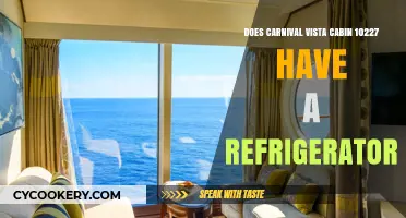 Carnival Vista Cabin 10227: Refrigerator Availability and Amenities Explained