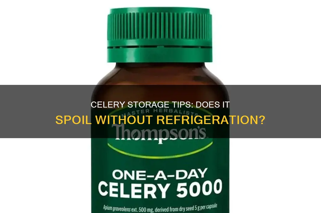 does celery go bad if not refrigerated