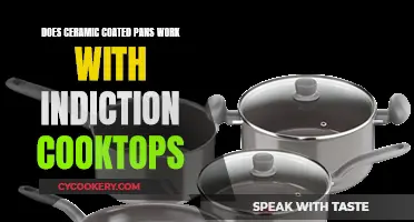 Ceramic Coated Pans: Induction Cooktop Compatible?