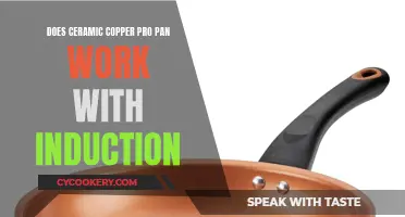 Ceramic Copper Pro Pan: Induction Compatible?