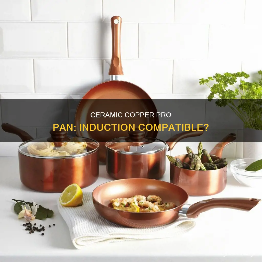 does ceramic copper pro pan work with induction