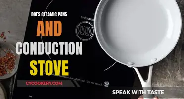 Ceramic Pans: Best Match for Induction Stoves?