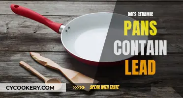 Ceramic Pans: Lead-Free and Safe?