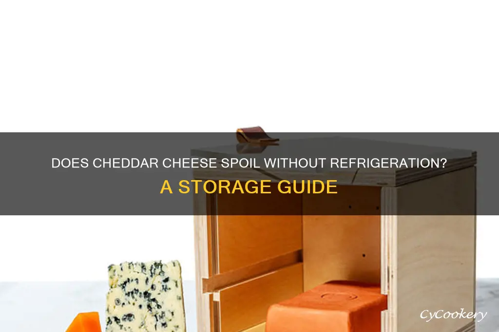does cheddar cheese go bad if not refrigerated