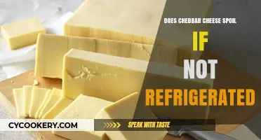 Can Cheddar Cheese Last Unrefrigerated? Spoilage Facts Revealed