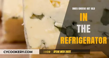 Does Cheese Expire in the Fridge? Shelf Life and Storage Tips