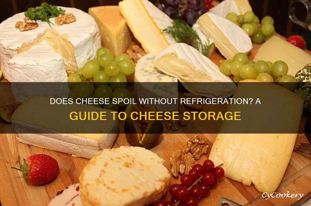 does cheese go off if not refrigerated