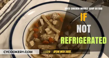 Does Chicken Noodle Soup Spoil Without Refrigeration? Find Out Here