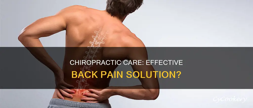 does chiroprator help with back pan