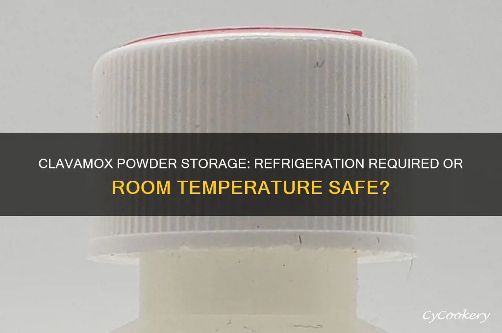 does clavamox powder have to be refrigerated