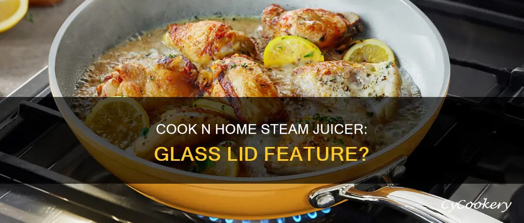 does cook n home steam juicer have glass lid