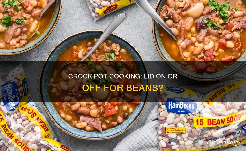 does cooking beans in a crock pot need lid