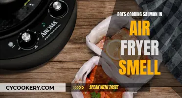 Air Fryer Salmon: Unlocking the Scent Mystery