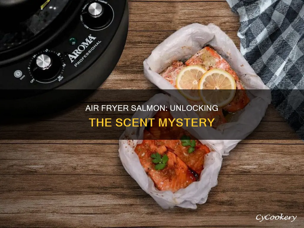 does cooking salmon in air fryer smell