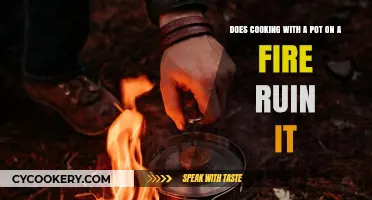 Cooking Over Fire: Will It Damage My Pot?