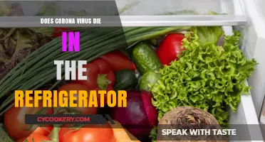 Can COVID-19 Survive in Your Fridge? Separating Fact from Fiction