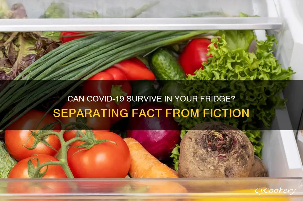 does corona virus die in the refrigerator