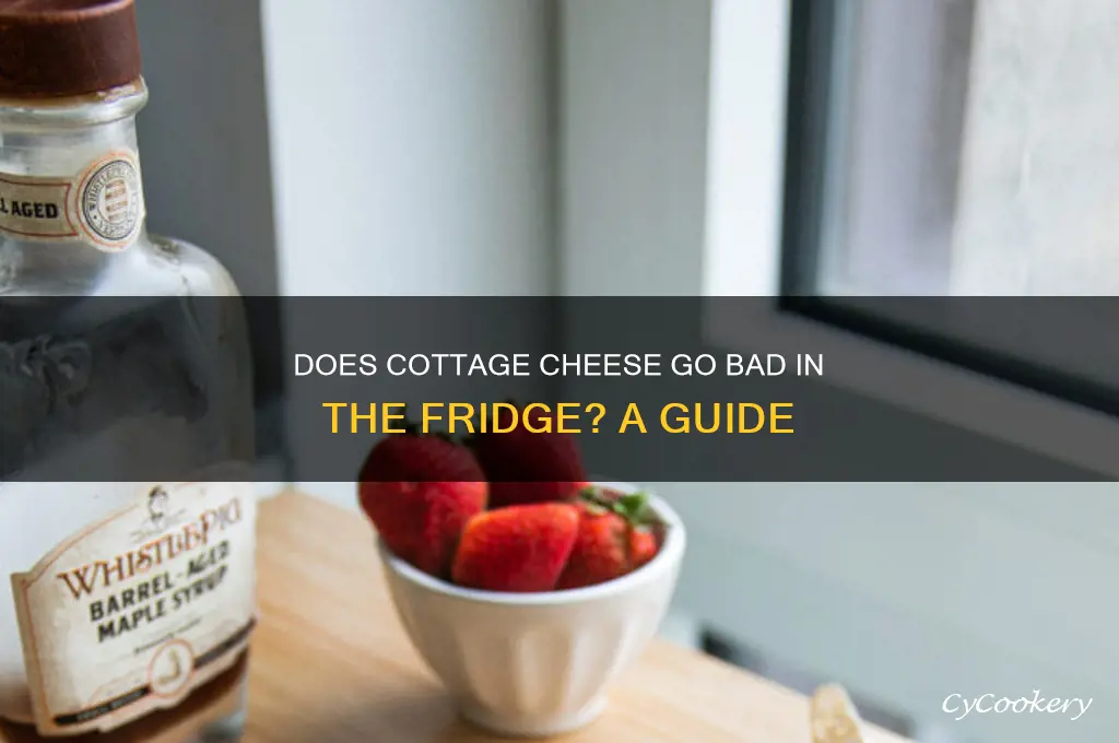 does cottage cheese go bad if refrigerated