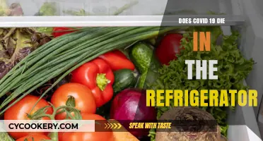 Can COVID-19 Survive in Your Refrigerator? Facts and Safety Tips