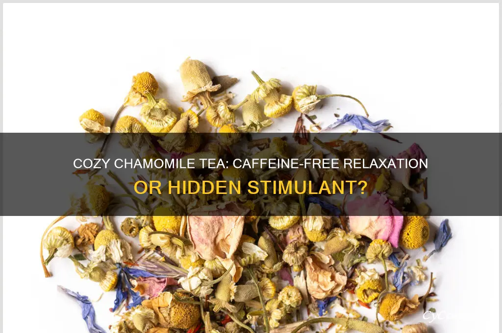 does cozy chamomile tea have caffeine
