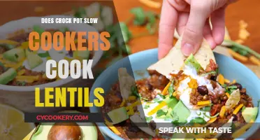 Slow Cooking Lentils: Crock Pot's Secret Superpower