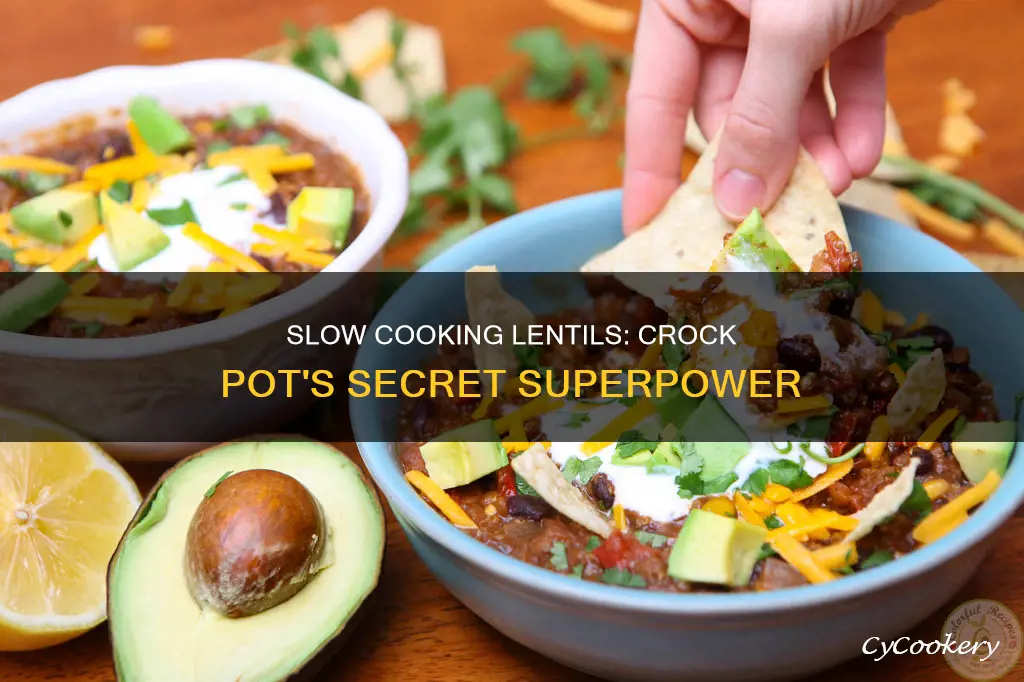 does crock pot slow cookers cook lentils