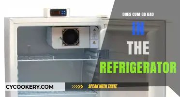 Does Semen Expire? Refrigeration Storage and Safety Explained