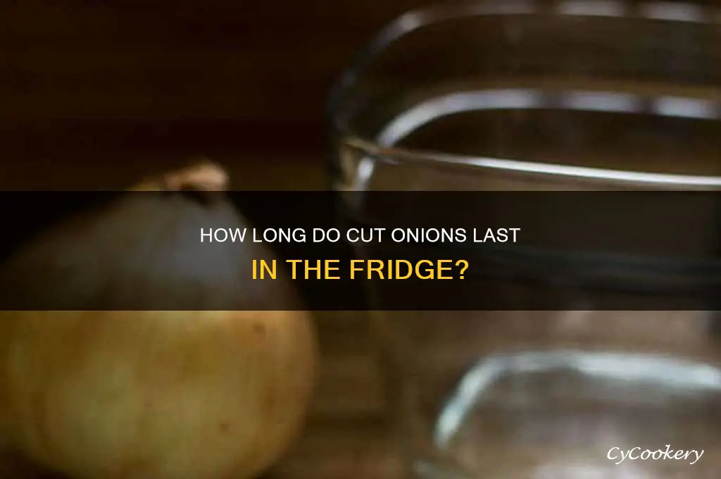 does cut up onion go bad in the refrigerator